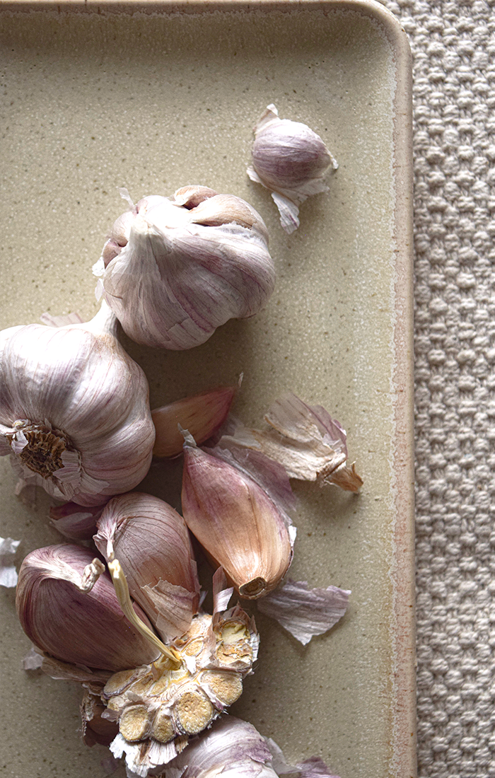 Rectangular Plate / Copal